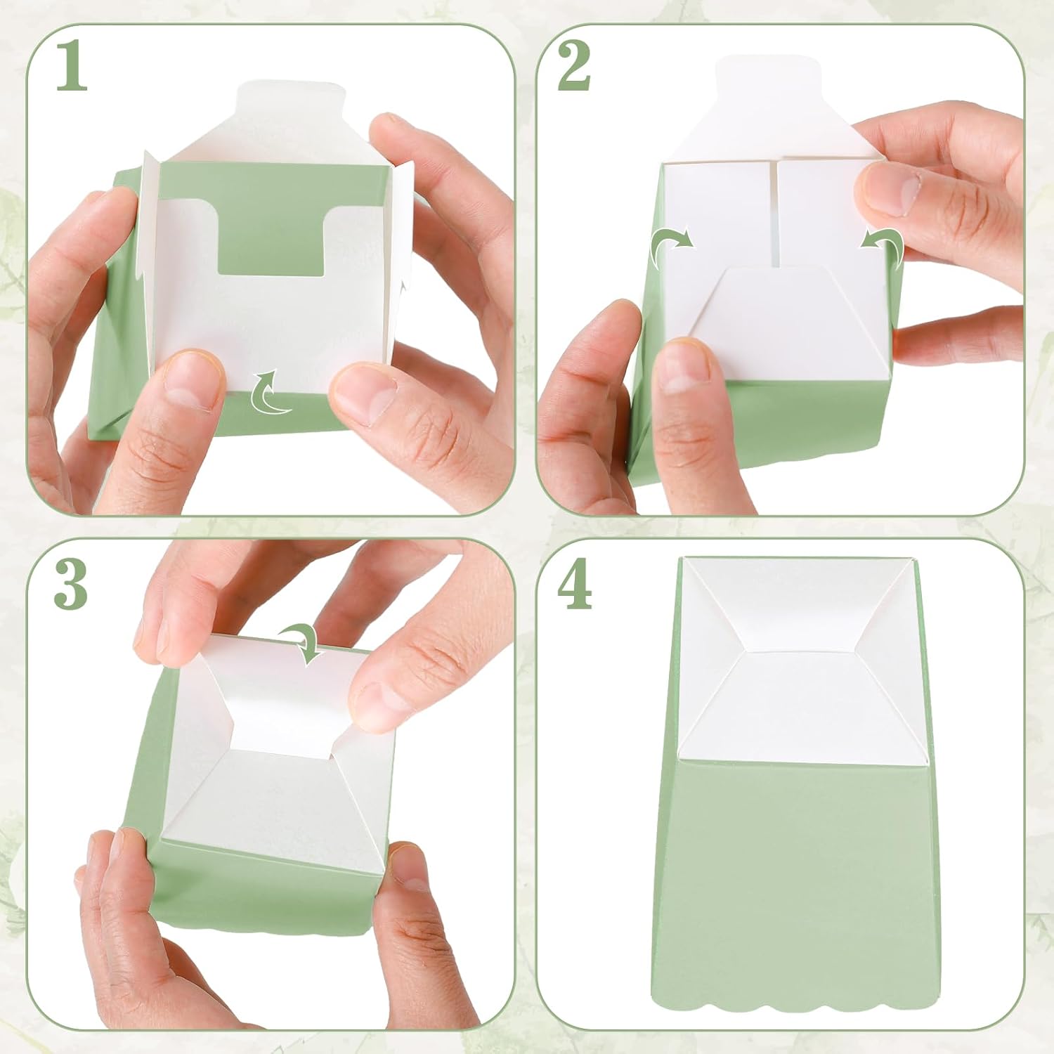 12 Stück salbeigrüne Mini-Popc – Wedding Supply.Box Bewertung und Preis