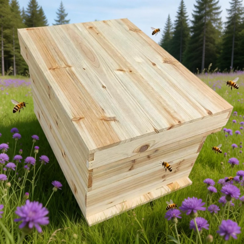 Hochwertige Imkerei-Ausrüstung – Wedding Supply.Box Bewertung und Preis